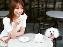 dog friendly Kihei restaurants, dogs allowed maui restaurants